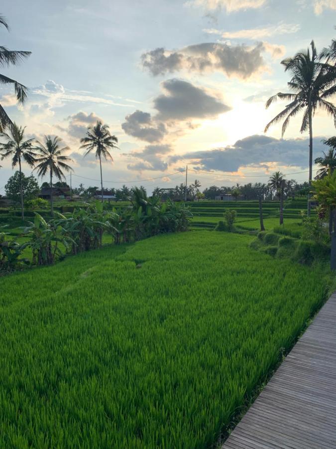 Hotel Umah Tirta à Ubud Extérieur photo