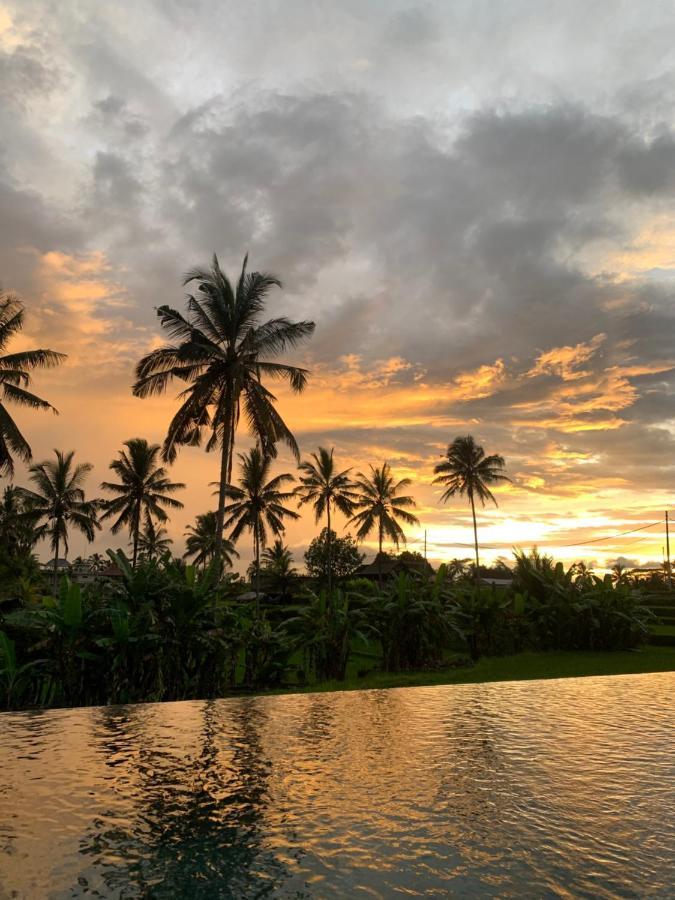 Hotel Umah Tirta à Ubud Extérieur photo